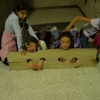 dscn4124