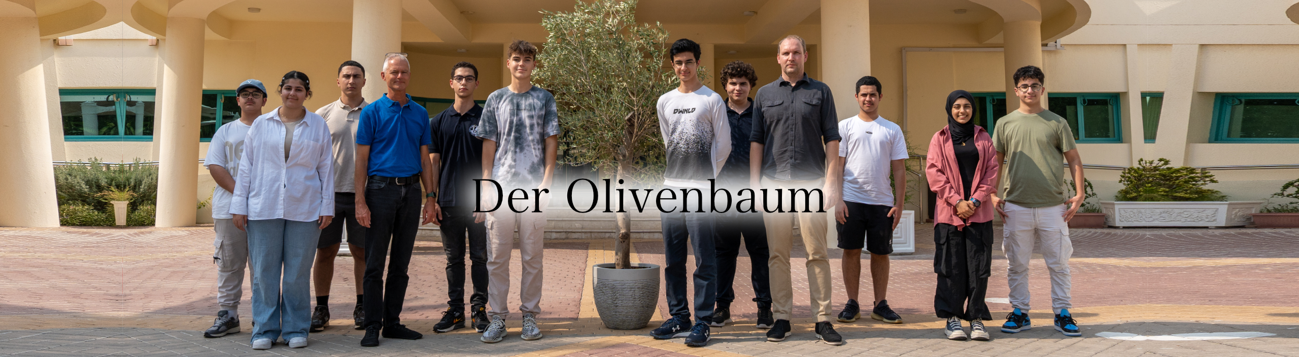 Der Olivenbaum